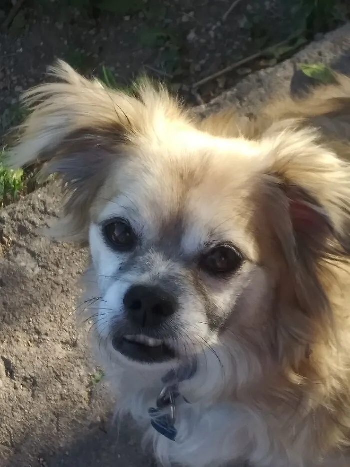 My Harry Boy!