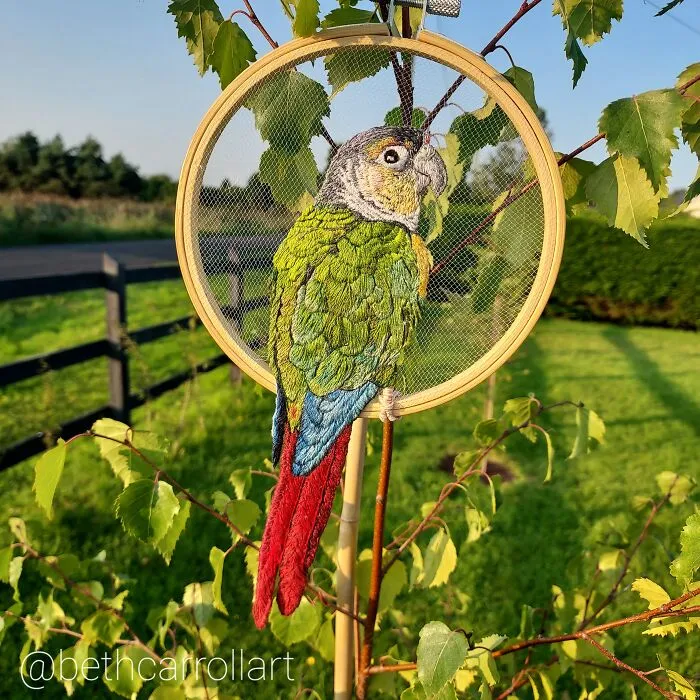 Yellow Sided Green Cheek Conure