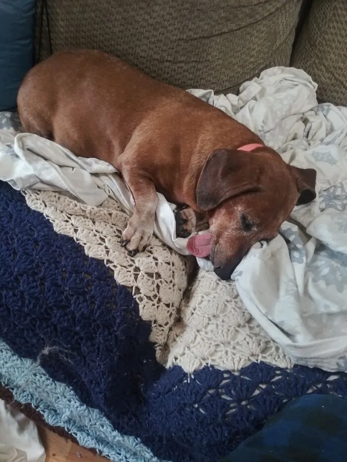 My Buckeye