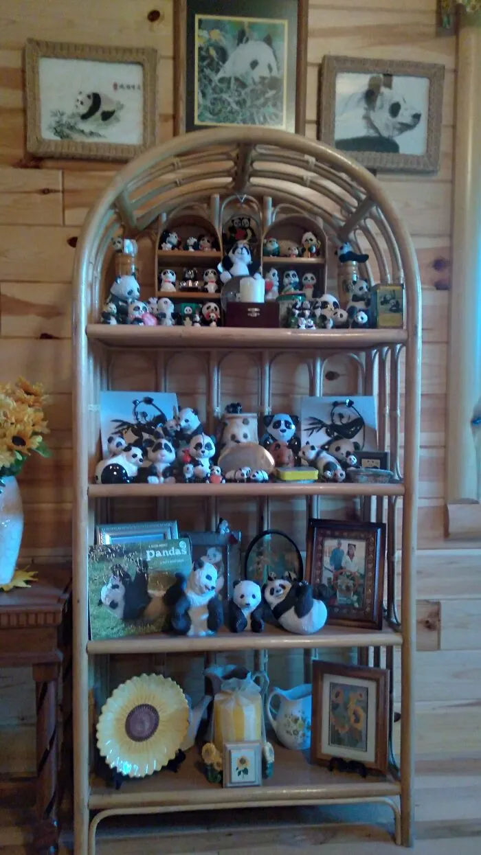 Hey Pandas, I Collect Pandas !