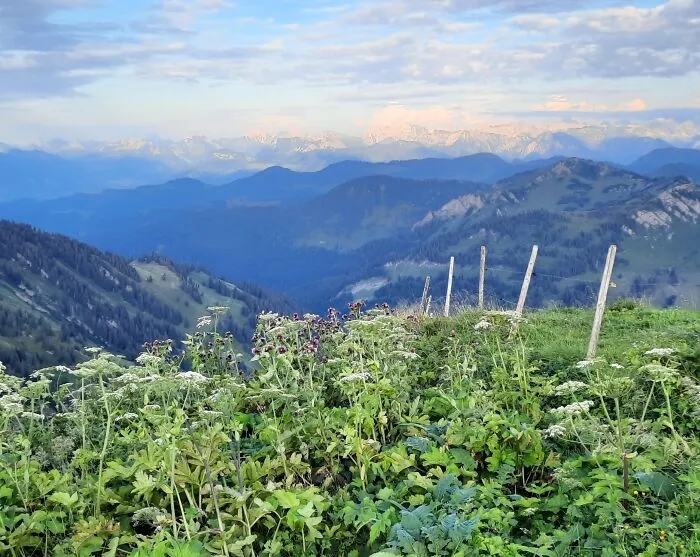 Dawn In The Alps