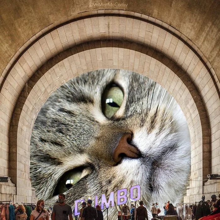 91 Surreal Photo Edits With Giant Cats By Matt McCarthy (New Pics)