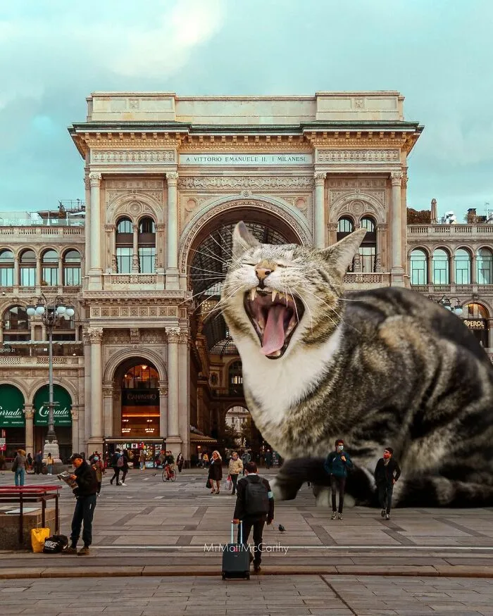 91 Surreal Photo Edits With Giant Cats By Matt McCarthy (New Pics)