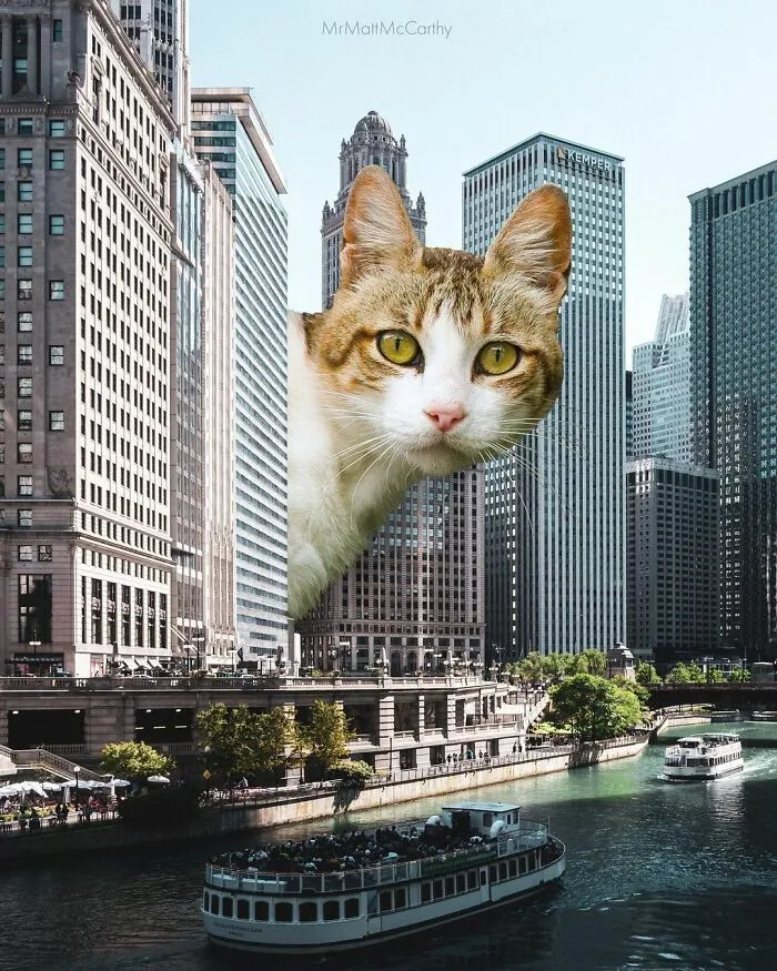 91 Surreal Photo Edits With Giant Cats By Matt McCarthy (New Pics)