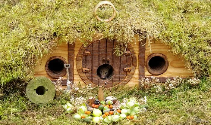 I Built A Little World In My Garden For Mice To Live In, And They're Thriving (30 Pics)