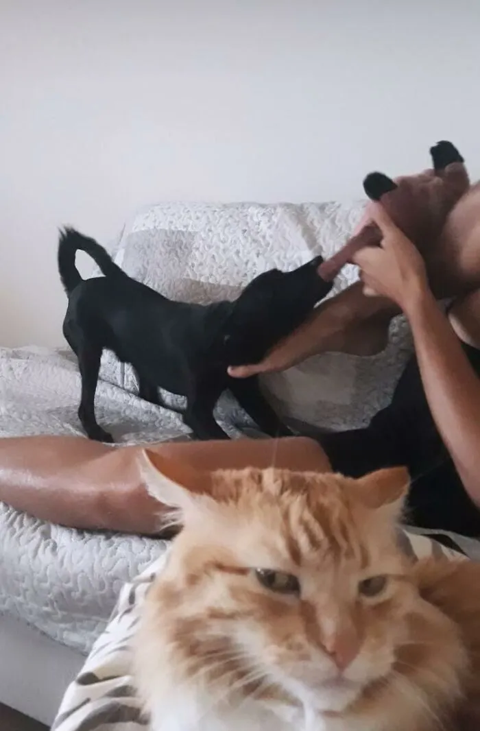 We Got A Puppy