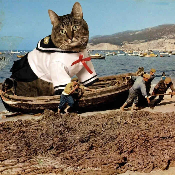 91 Surreal Photo Edits With Giant Cats By Matt McCarthy (New Pics)