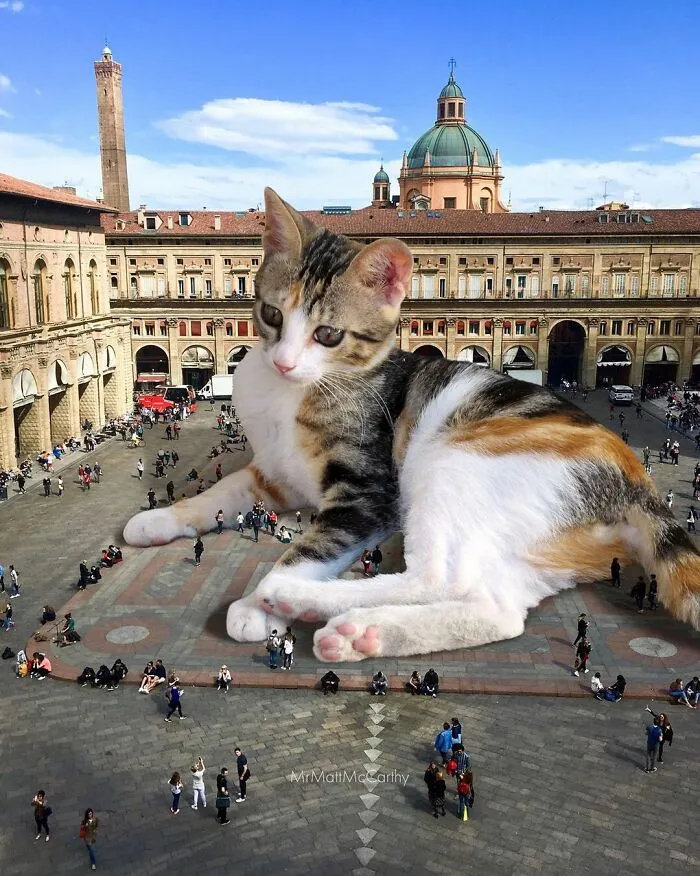 91 Surreal Photo Edits With Giant Cats By Matt McCarthy (New Pics)
