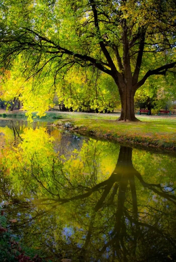 Autumn Begins Today, And Here Are My 12 Photos That Show What Autumn's Like In Macedonia