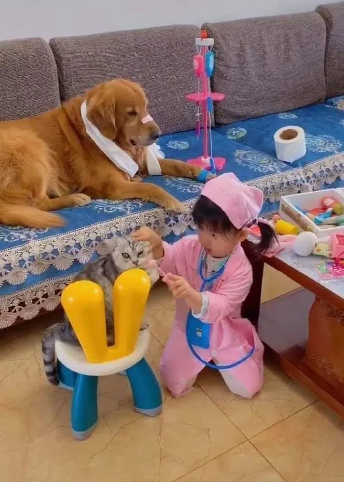 This Facebook Page Is All About Animal Images That Need To Be Seen (50 New Pics)