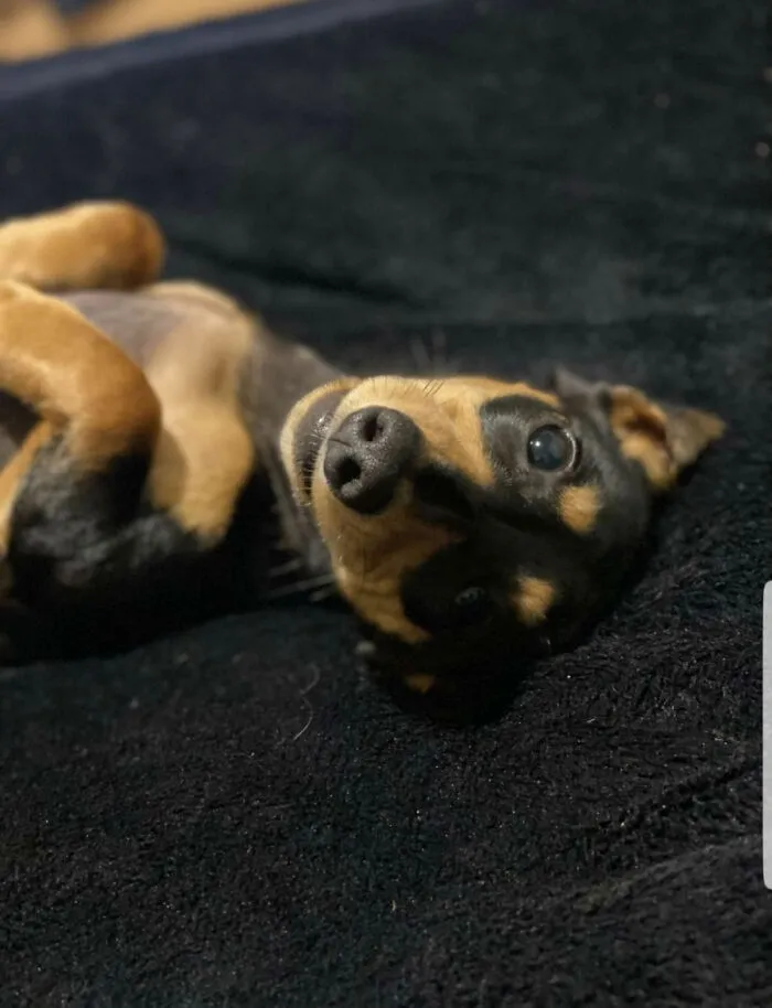 This Face 😍