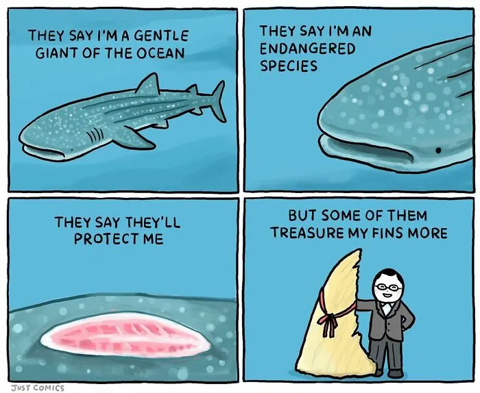 40 Heartbreaking Comics About Animal Abuse And Factory Farming By Joan Chan