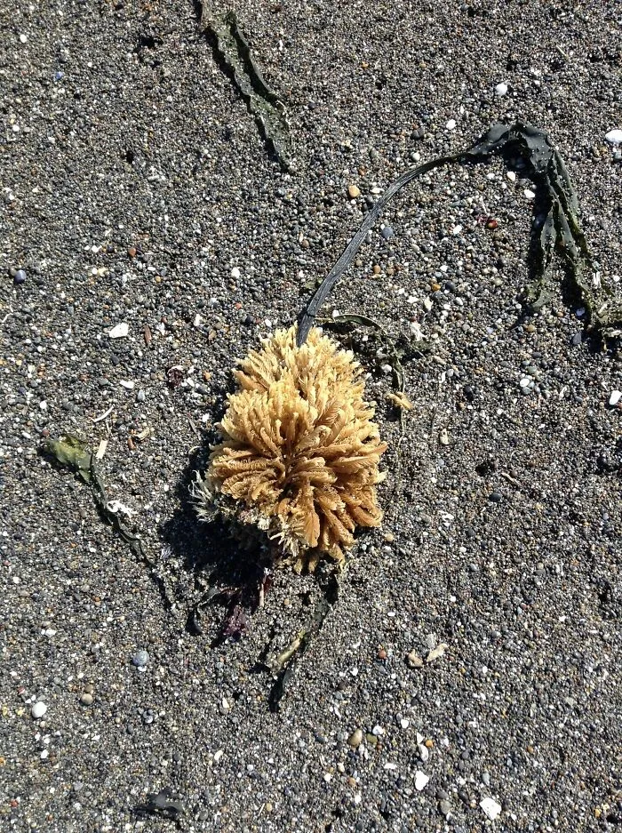 On The Beach
