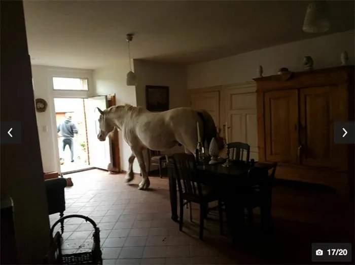 This Instagram Account Collects Terrible Real Estate Pics, And Here's 40 Of The Worst Ones (New Pics)