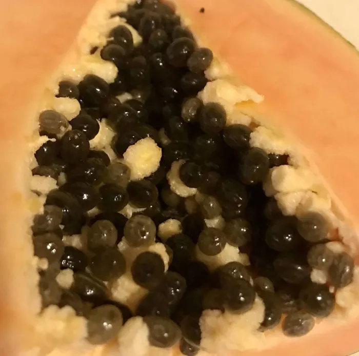 Papaya