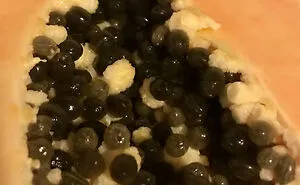 People Are Sharing Their Unexpected Trypophobia Moments, And Here Are 30 Pics That Creeped Them Out