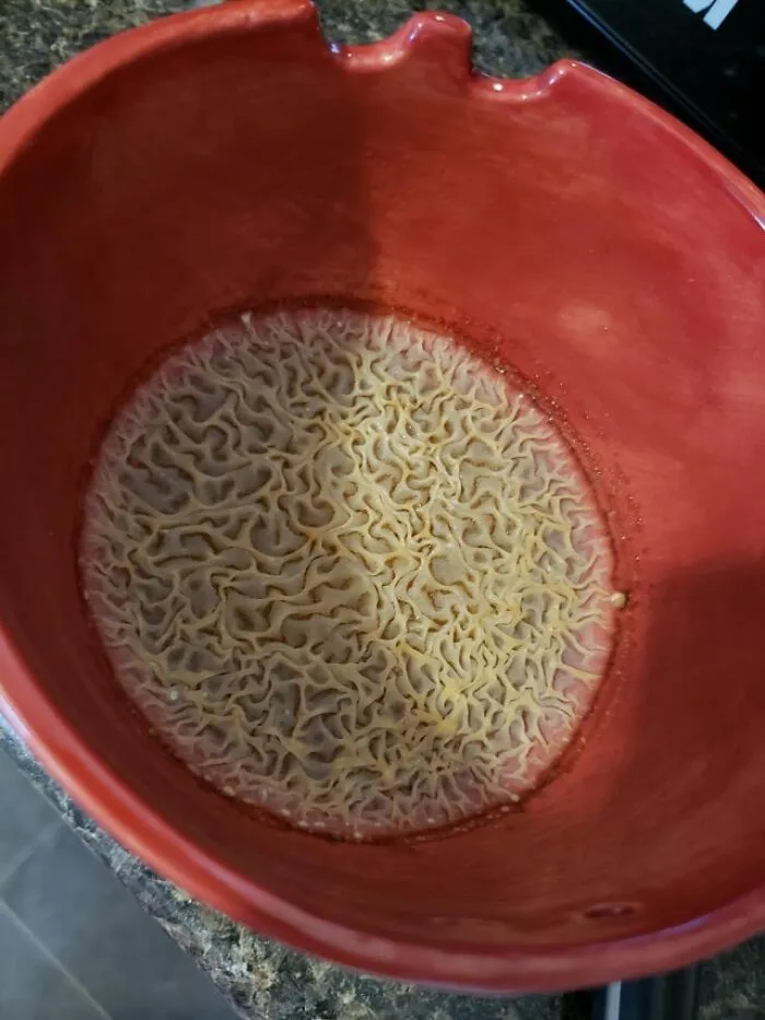 Este moho arrugado que encontré creciendo en un tazón afuera