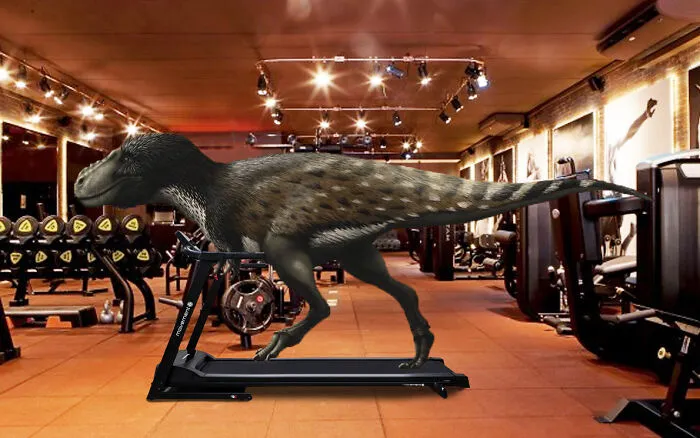 Gotta Keep In Shape