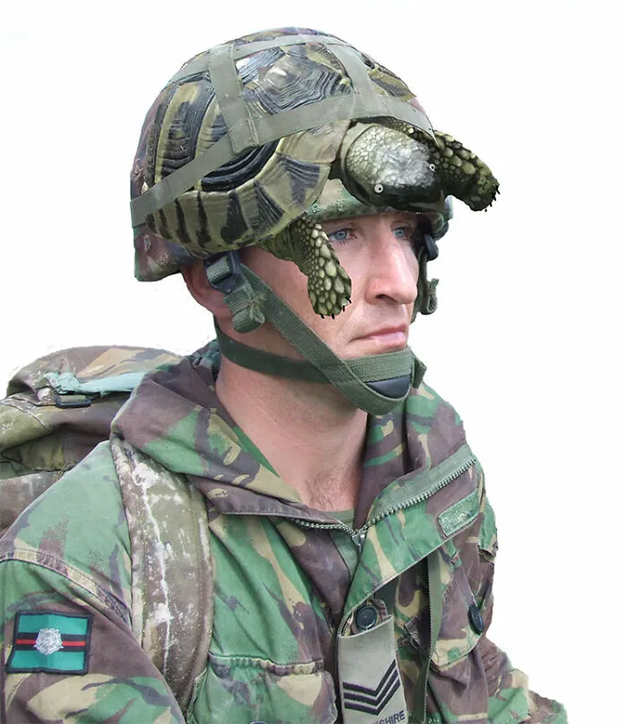 Organic Helmet