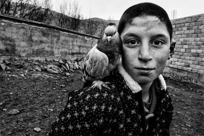 Friendship By Berlin Aydin