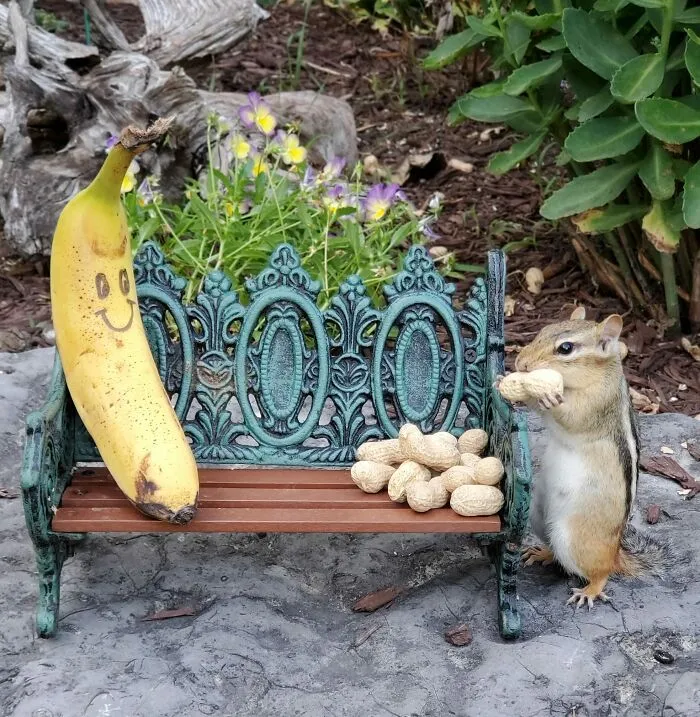 Hey You Guys! Look What I Found At My Favourite Local Thrift Shop...its The Itty Bitty Park Bench That I Didn't Know I Needed!
