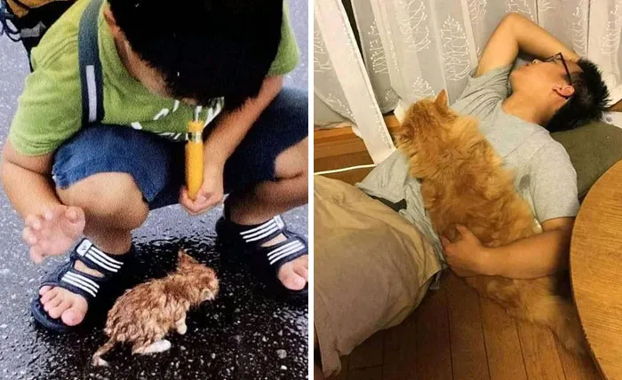 Lovely Friendship