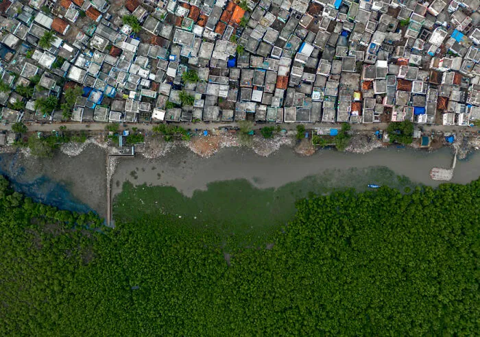 El pantano nutrido por Rakesh Pulapa (India), mención especial en Humedales - El panorama completo