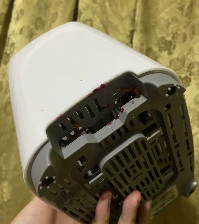 My Sister Toasted Bread With Jelly In My Brand New Toaster. She's 31