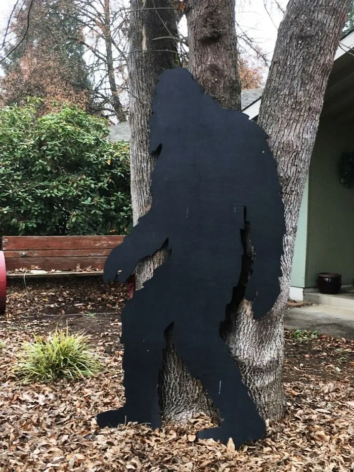 Neighborhood Yeti