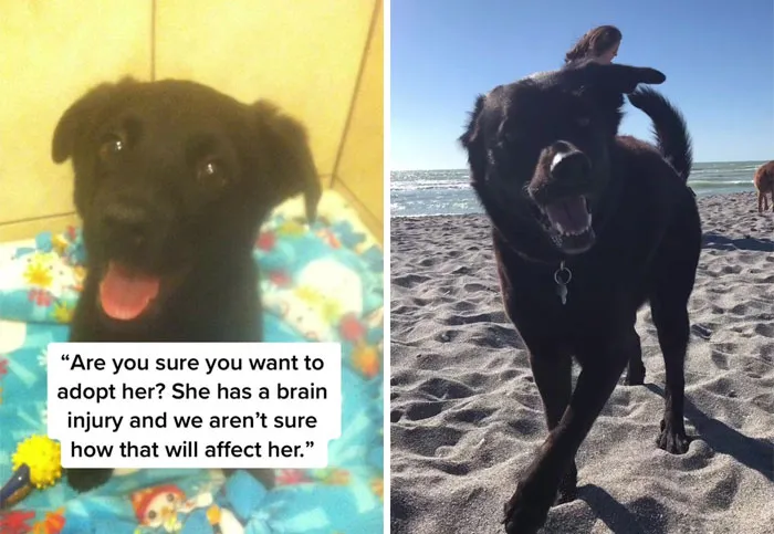 35 Heartwarming Submissions For The "You're Enough" TikTok Trend Inspiring People To Show How Much They Appreciate Their Loved Ones