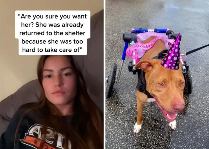 35 Heartwarming Submissions For The "You're Enough" TikTok Trend Inspiring People To Show How Much They Appreciate Their Loved Ones