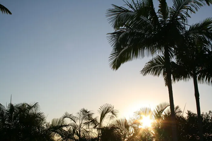 Taken In Fiji