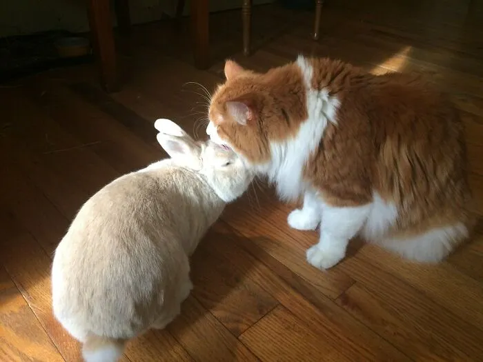 Friends