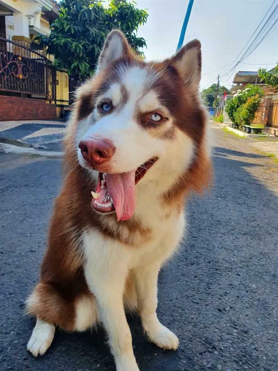 "Alda", Cute Right?