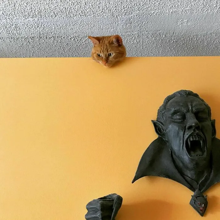 Early This Morning I Couldn’t Find Nacho