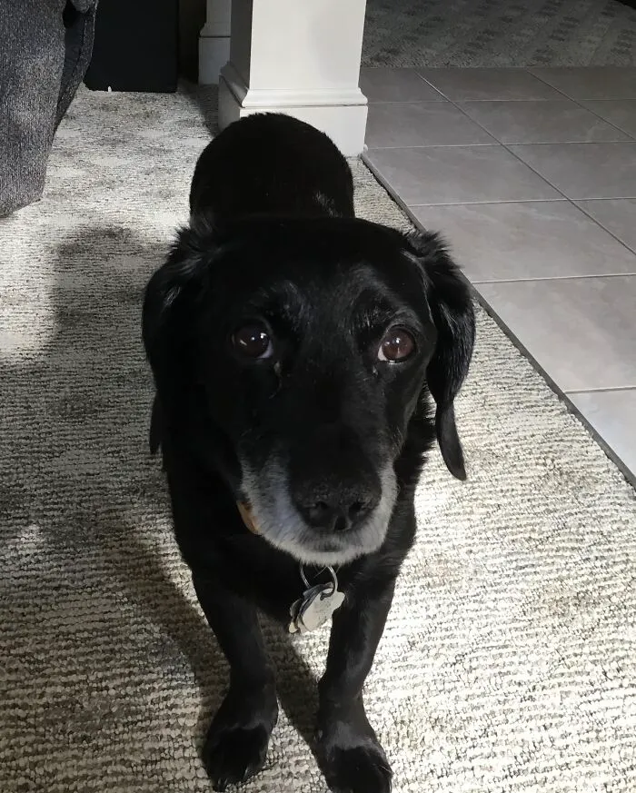 My 10 Or 11 Year Boy He’s Cranky 24/7