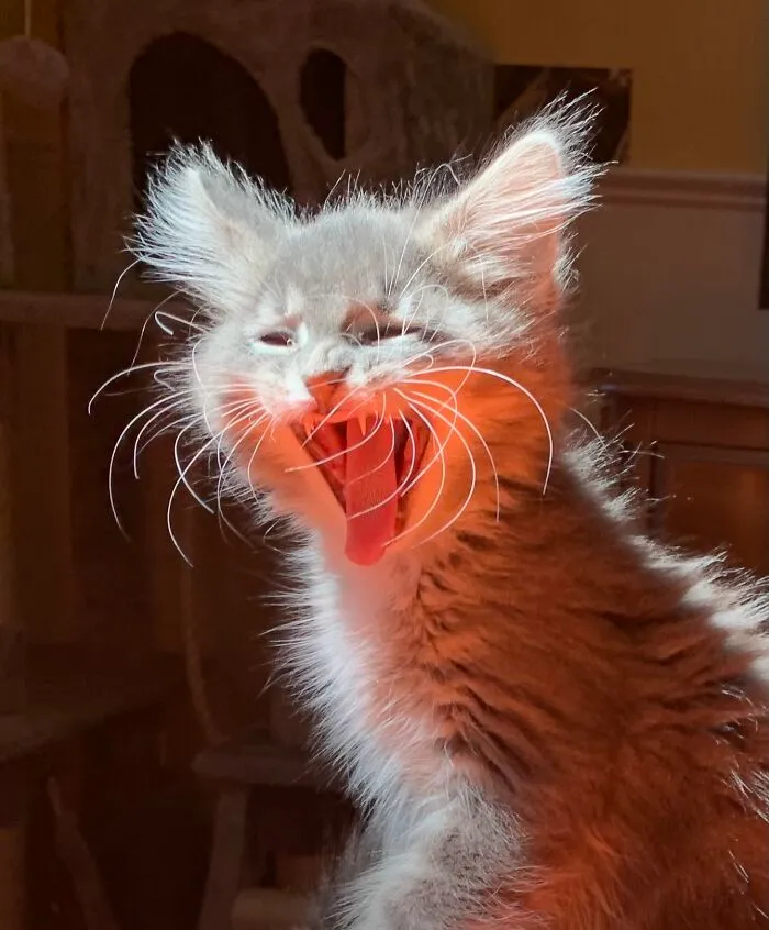 Rise And Shine!