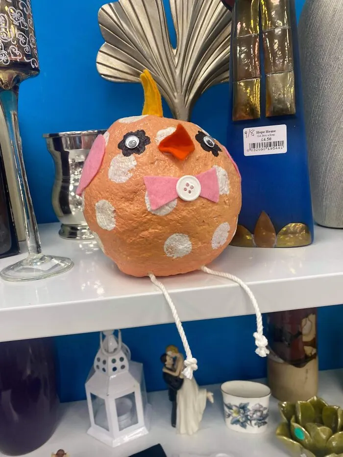 My Camera Roll Is Full Of Weird Things In Charity Shops For The Fb Group ‘Cr*p Found In Charity Shops’ 😂
