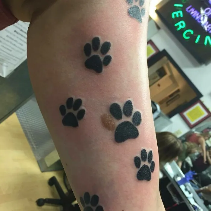 Tattoo cover-up with paw prints, artistically hiding a birthmark on forearm.