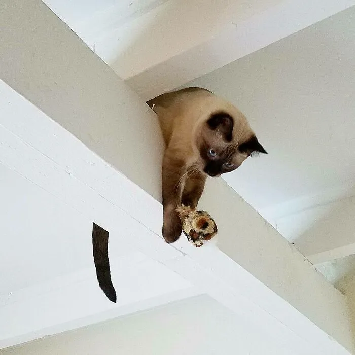 Hangin Out
