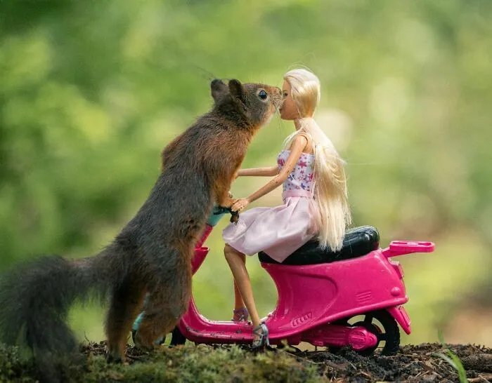He pasado 5 años captando fotos perfectamente sincronizadas de animales en la naturaleza (35 fotos)