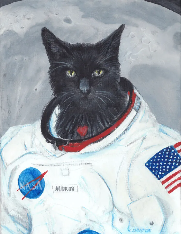 Booz Aldrin