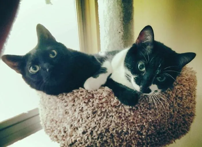 Best Buddies!