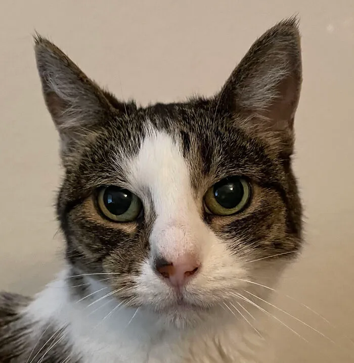 The Bad Little 16 Year Old