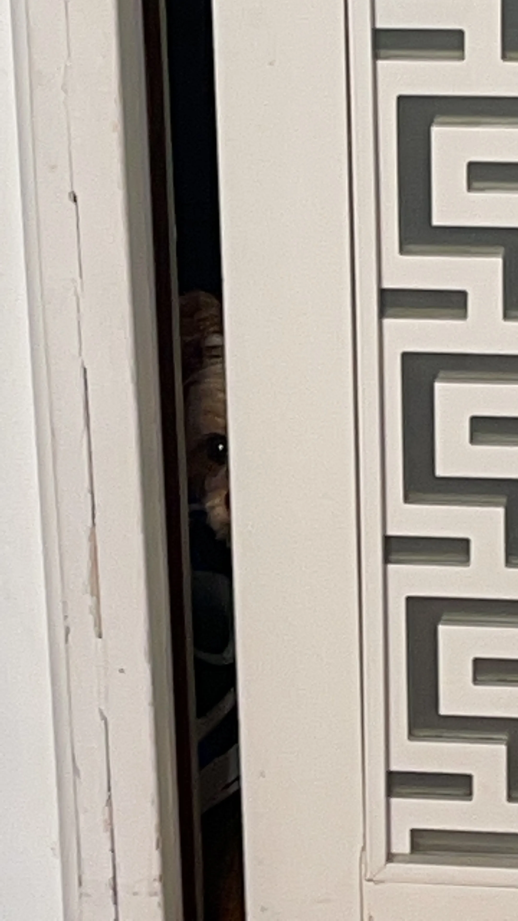 Ted