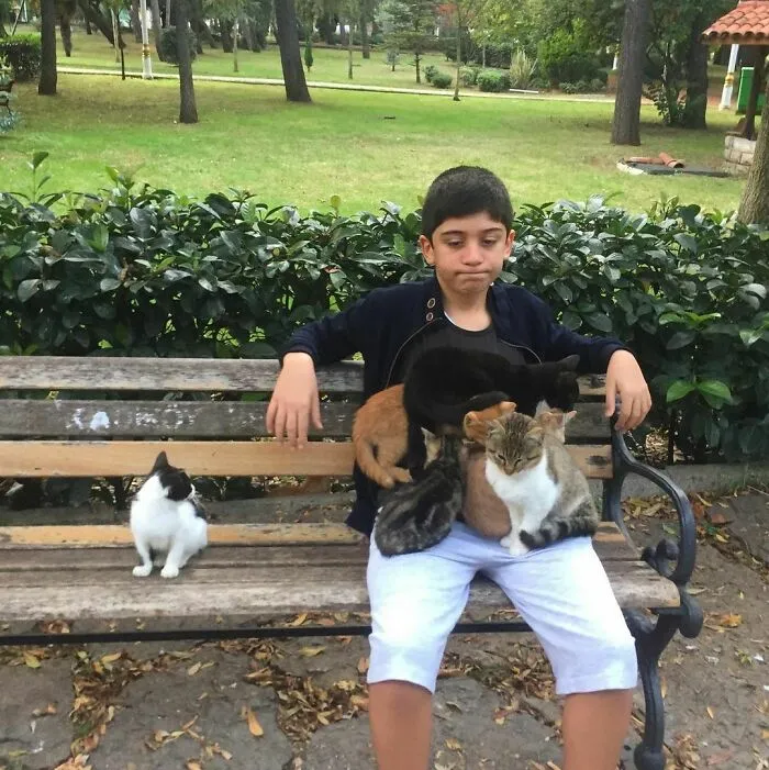 50 Fotos de animales que no tienen ningún sentido, compartidas en esta cuenta de Instagram