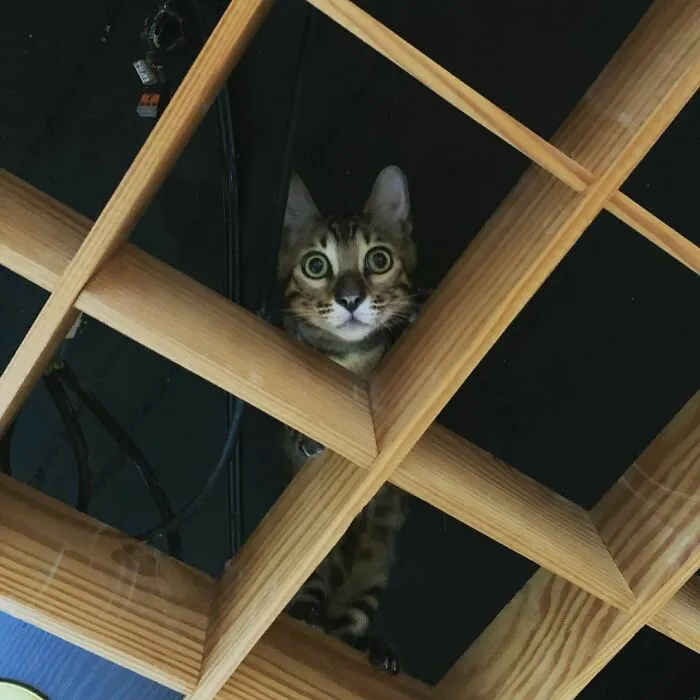 Hello From Above