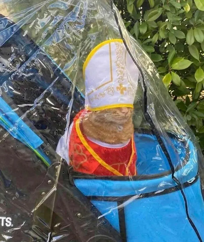 La cuenta de Instagram más rara se llama "Me quiero ir", y aquí hay 40 fotos que lo demuestran