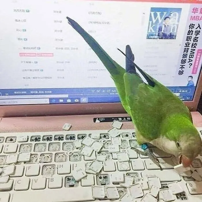 La cuenta de Instagram más rara se llama "Me quiero ir", y aquí hay 40 fotos que lo demuestran
