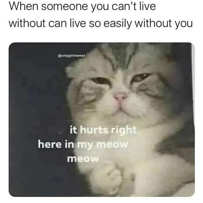 Funny girl and woman meme featuring a grumpy cat with humorous text about feelings.